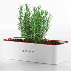 The Botanist Islay Dry Gin Planter Gift Set -Jura Shop botanist plantertinset ps2