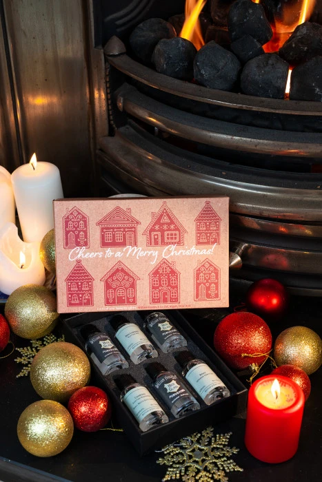 Cheers Christmas Gin Gift Set 6 Cheers Christmas Gin Gift Set - Image 4