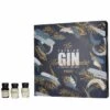 The Premium Gin Advent Calendar (2022) -Jura Shop drinksbythedram adventcalendar 2022 premiumgin ps