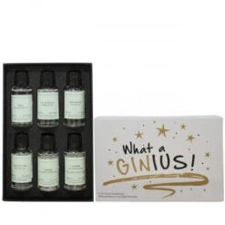 Ginius Gin Gift Set -Jura Shop giftbox ginius insideshot gin ps