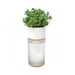 The Botanist Planter Gift Set -Jura Shop thebotanist planterpack ps6